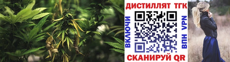 Дистиллят ТГК концентрат Городище