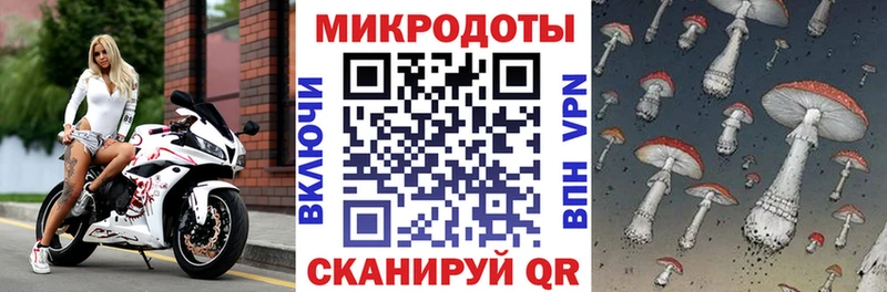дарнет шоп  Городище  Галлюциногенные грибы мухоморы 
